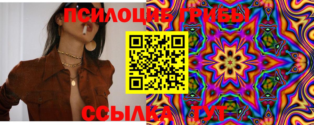 Псилоцибиновые грибы MAGIC MUSHROOMS Ачхой-Мартан