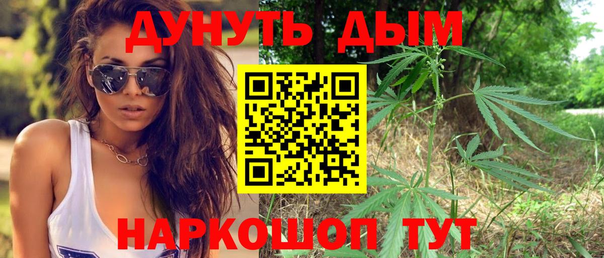 Шишки марихуана гибрид Ачхой-Мартан